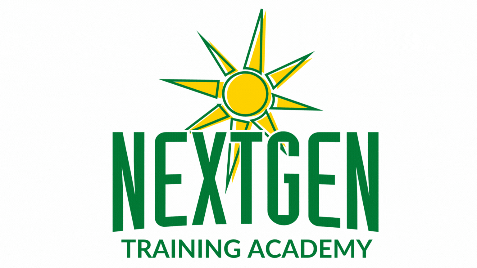 NextGen Training Academy: Troops to Solar