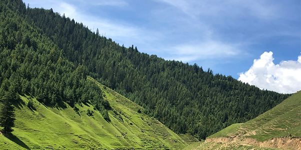 Nepal rural landscape