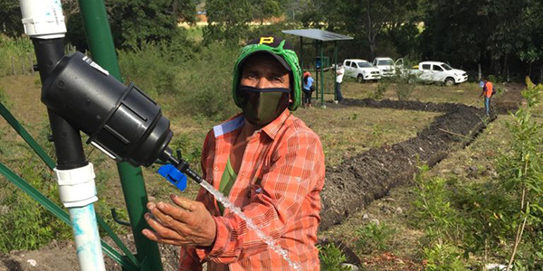 Nicaraguan man demonstrates drip irrigation