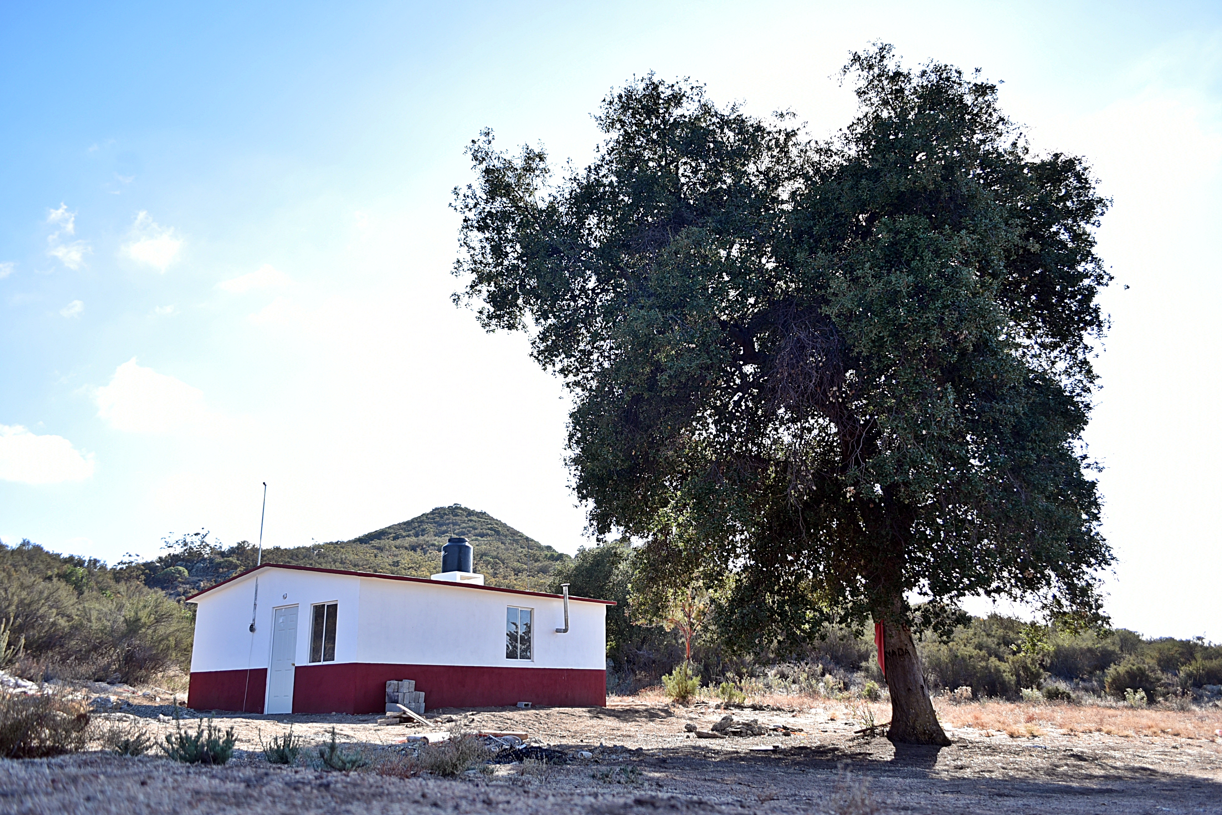 Juntas de Neji house by tree