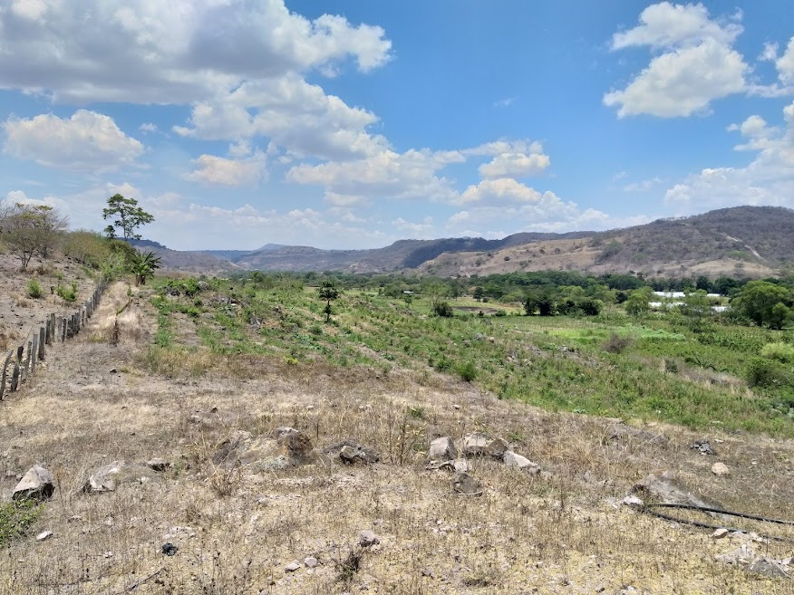 Dona Ramona farm