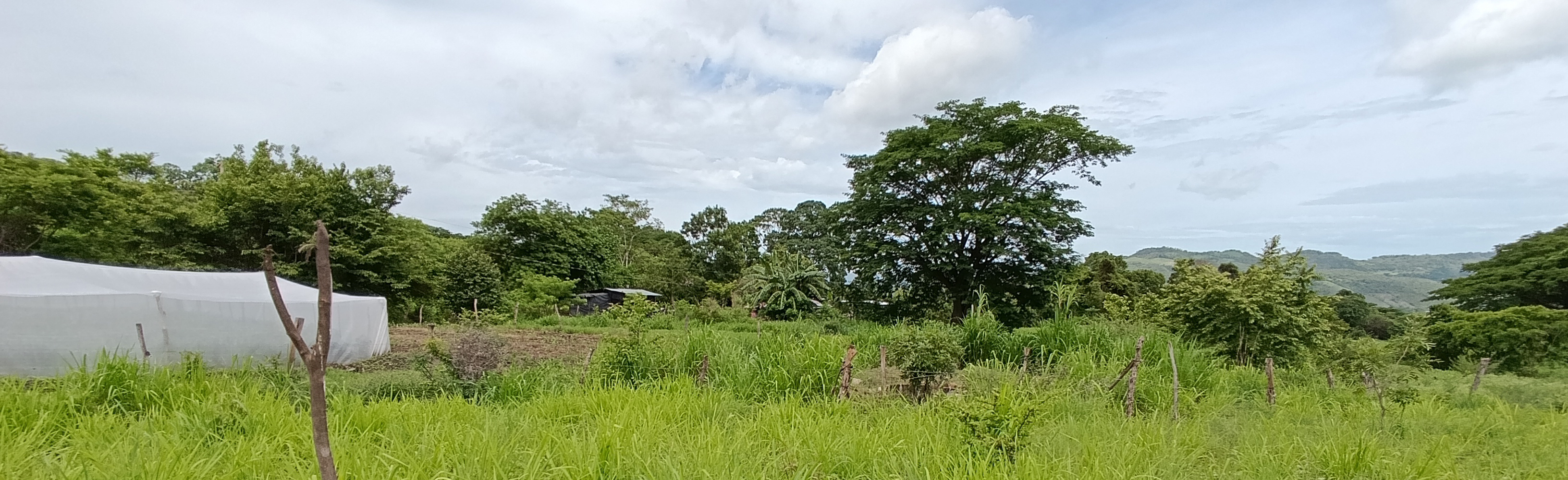 Mariana Palacio Farm Nicaragua cropped