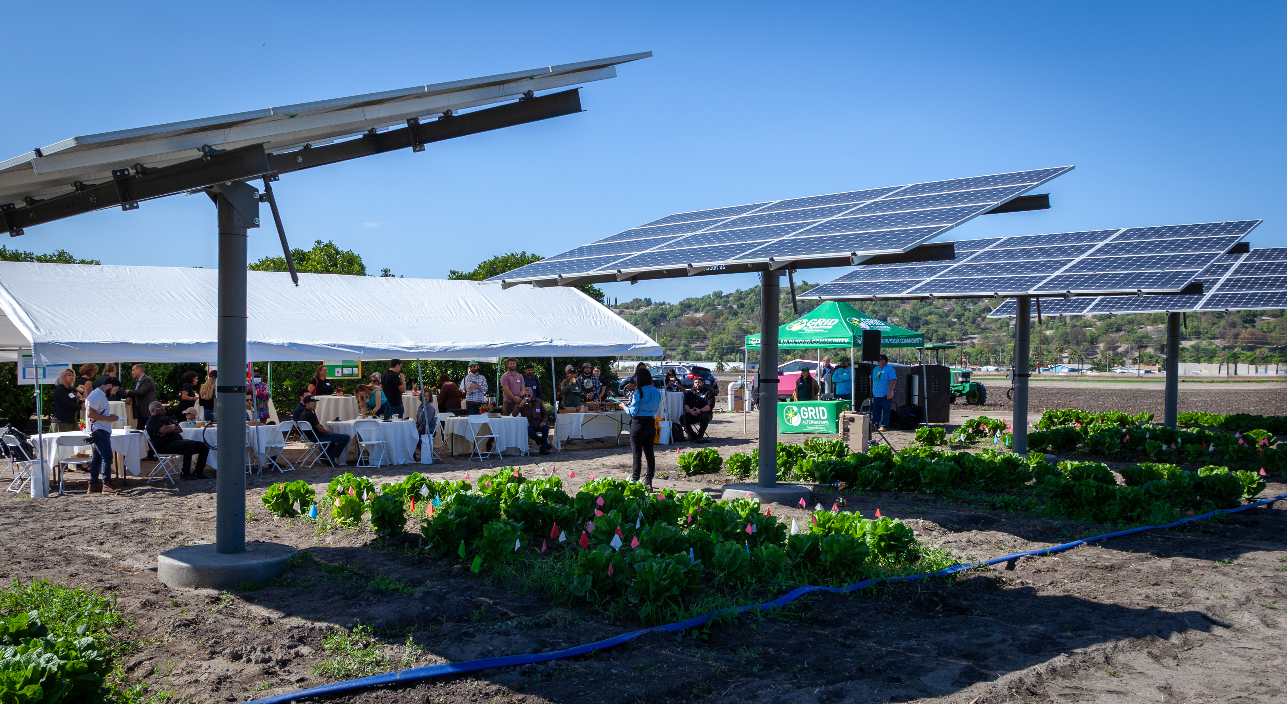 Pitzer College Agrovoltaics Ribbon Cutting