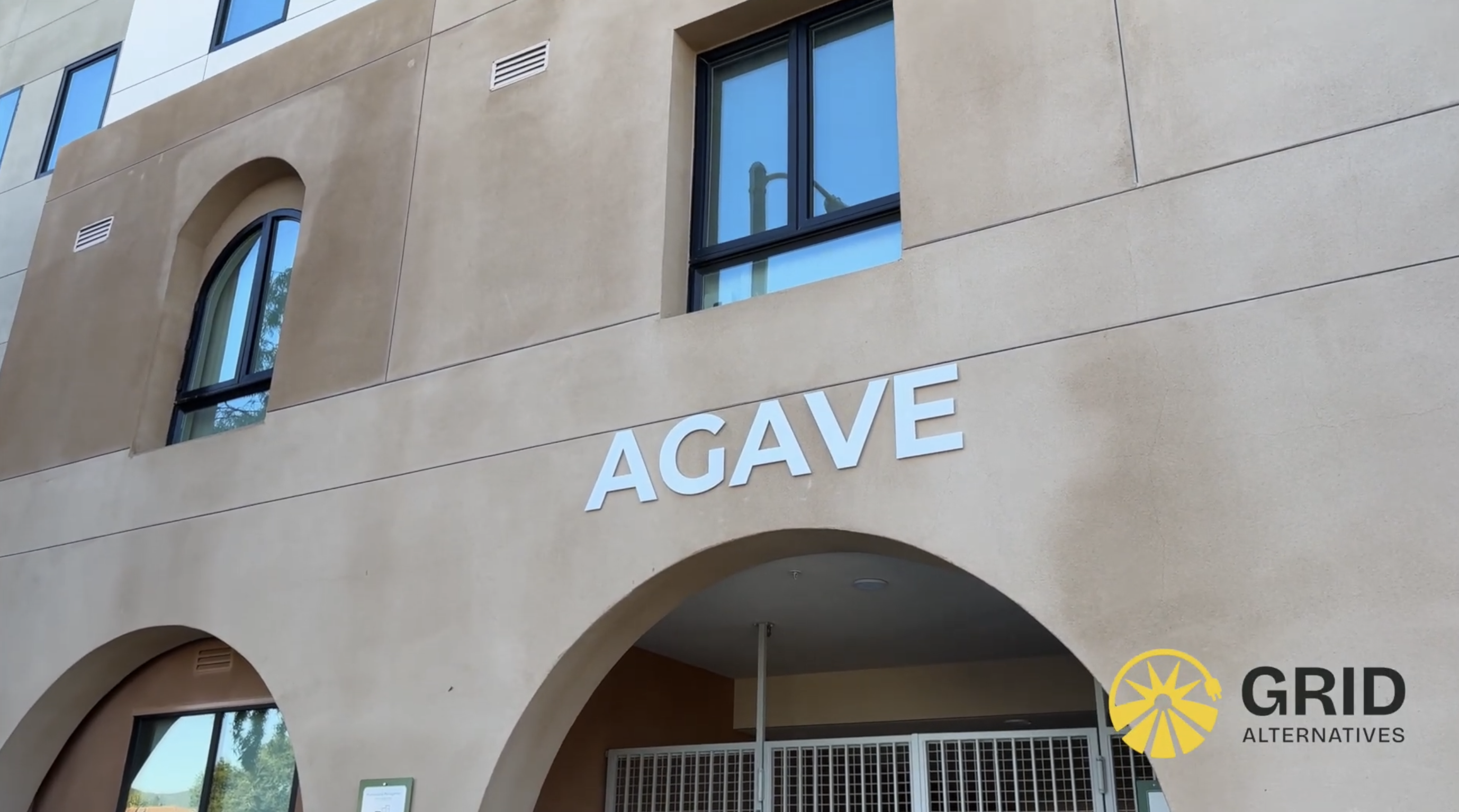 Agave