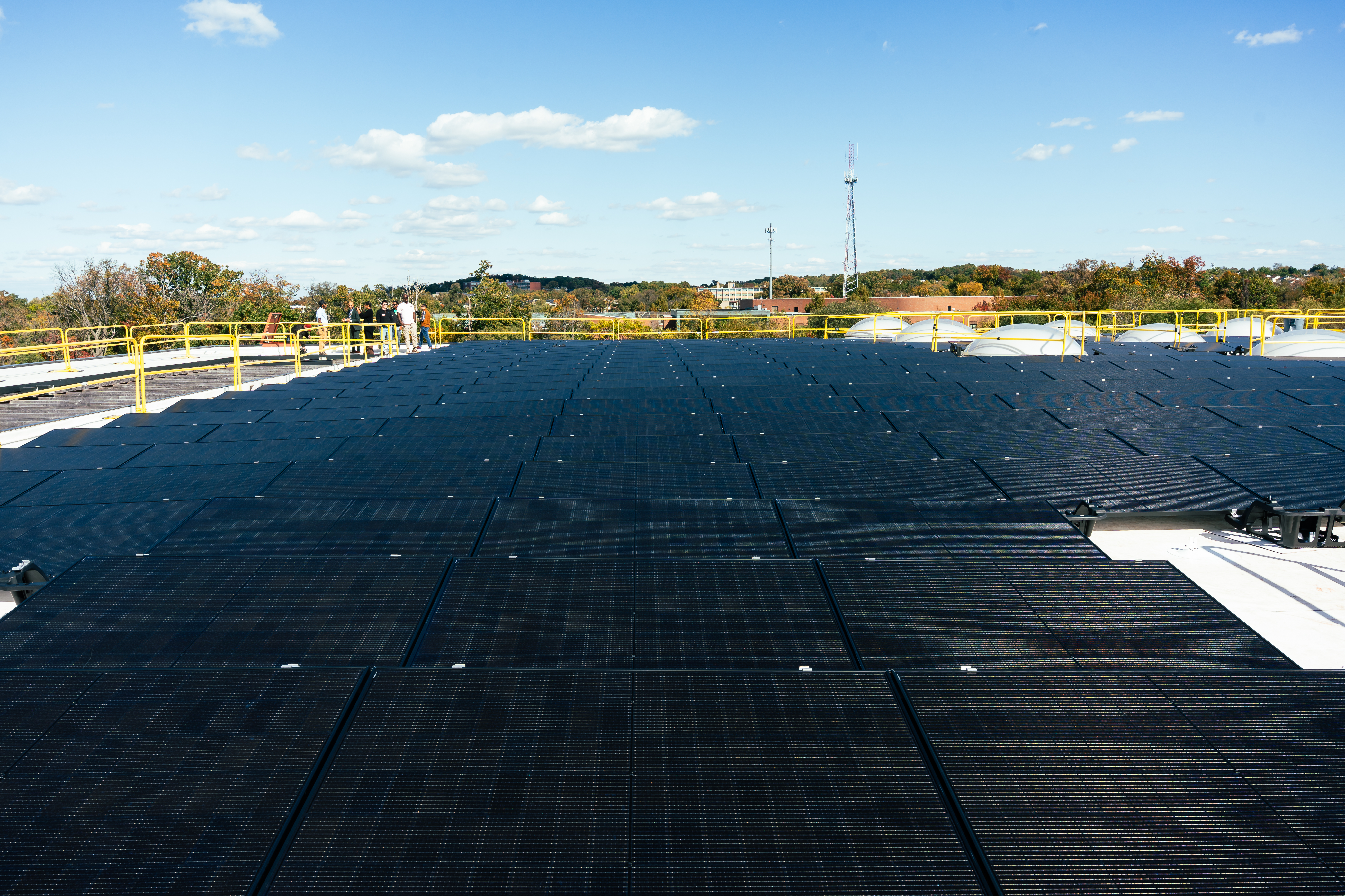 Sycamore and Oak - Solar Panels