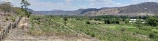 Dona Ramona farm