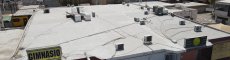 Fundación Cerebro roof