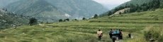 Path in Nepal