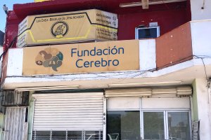 Fundación Cerebro