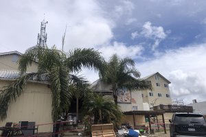 Casa de Jardin 1