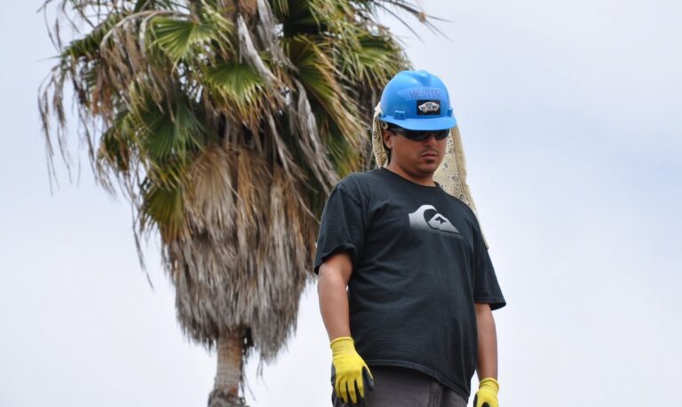 Worker wearing blue hard hat and yellow gloves stands beside palm tree