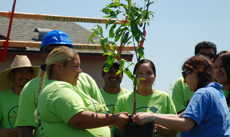 Group in green shirts planting seedling together during community Earth Week event