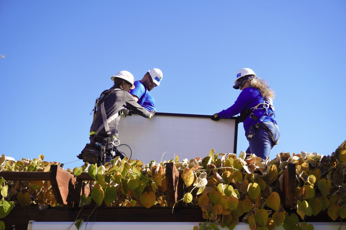 Four workers in hard hats and safety gear install solar panel on rooftop above plants
