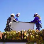 Four workers in hard hats and safety gear install solar panel on rooftop above plants