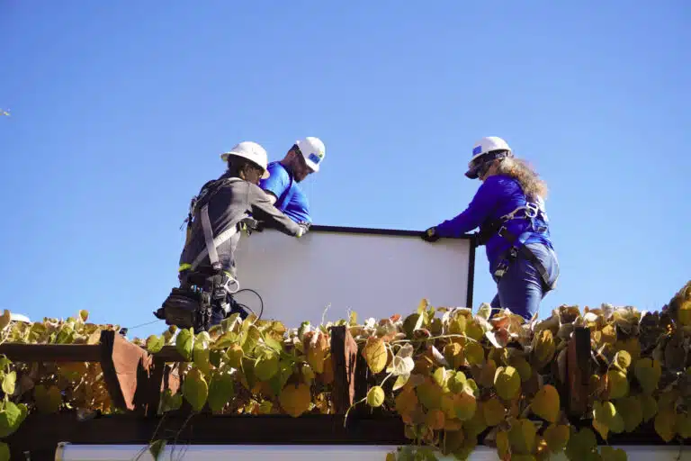 Four workers in hard hats and safety gear install solar panel on rooftop above plants