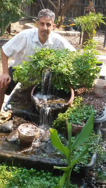 Man displaying lush green plants in a water feature garden setup