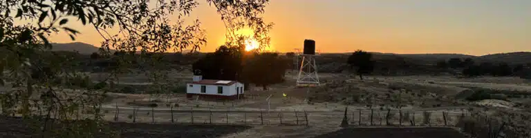 Neji at sunset Mexico hero image