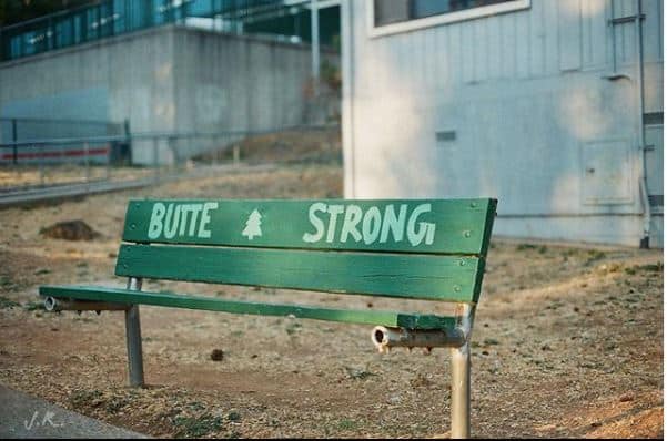 Green wooden bench with "BUTTE STRONG" text and pine tree symbol in rural setting