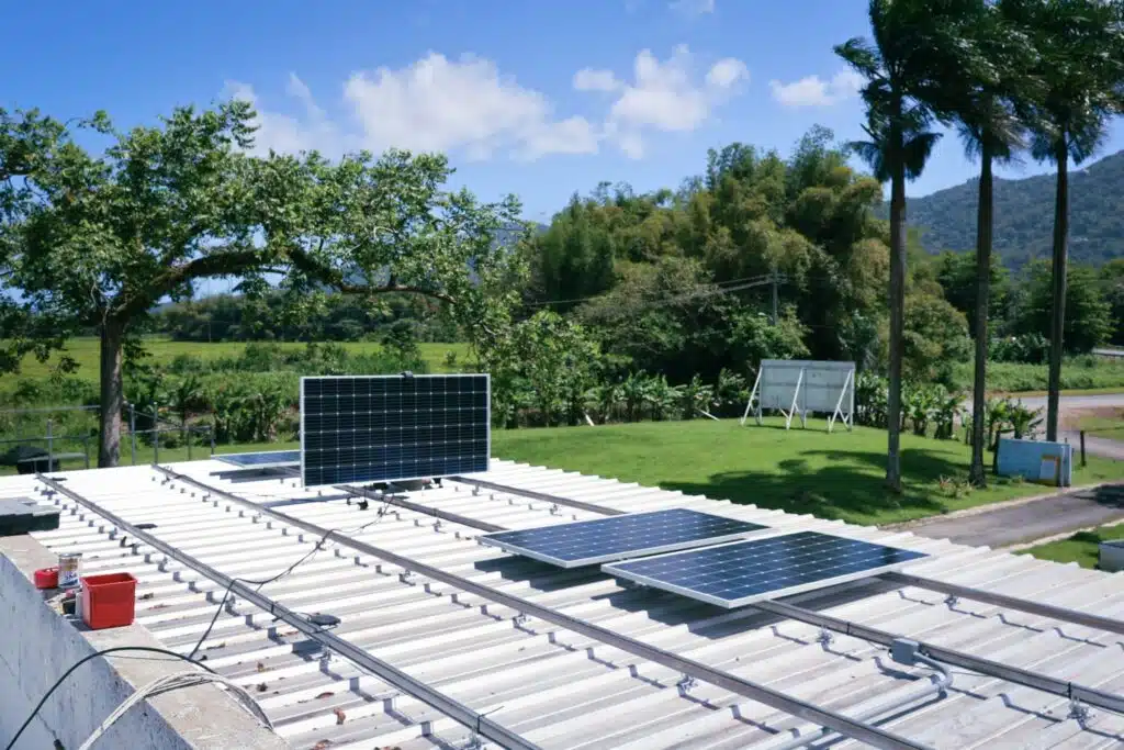 Rows of solar panels mounted on a low roof, with palm trees and hills behind.
