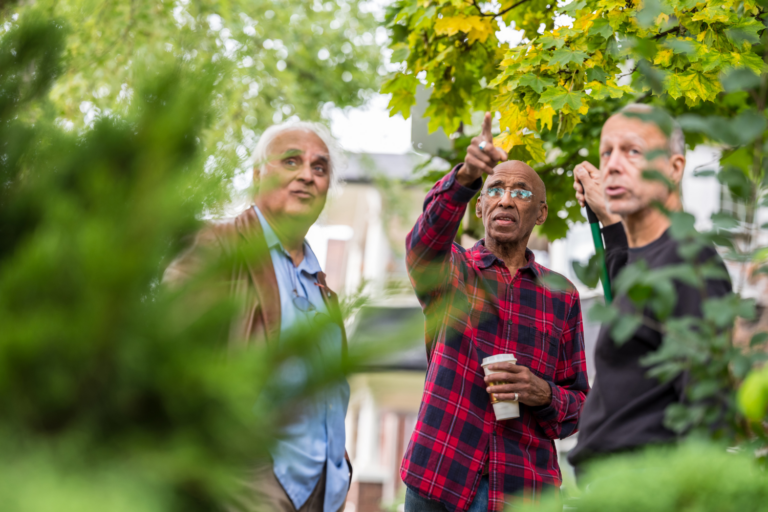 Three men in a garden pointing upward at tree branches and foliage above them