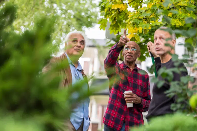 Three men in a garden pointing upward at tree branches and foliage above them