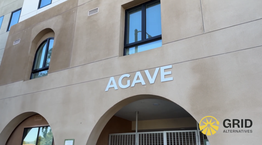 Agave